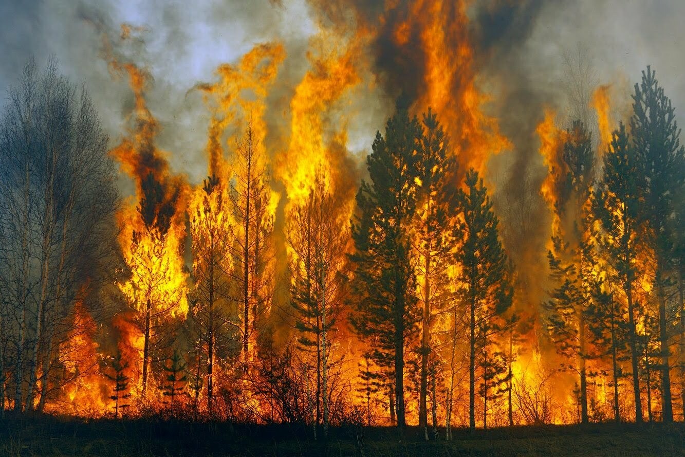 Евгений Куйвашев поручил премировать спасателей за ликвидацию природных пожаров: каждый получит по 50 тысяч рублей